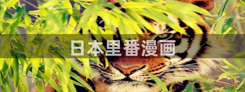 香蕉漫画入口网站