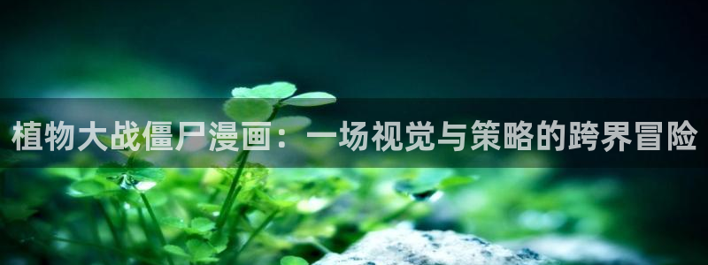 www.香蕉漫画