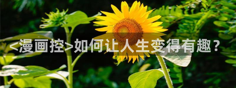 香蕉漫画在线阅读漫画：<漫画控>如何让人生变得有趣？