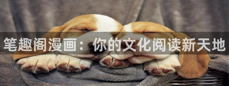 香蕉小说漫画下拉更新：笔趣阁漫画：你的文化阅读新天地