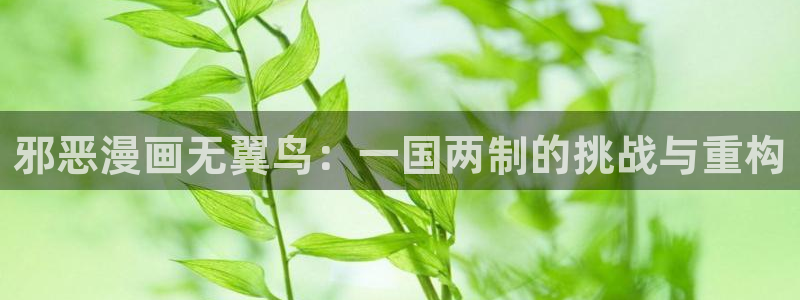 香蕉文化免费读漫画的入口：邪恶漫画无翼鸟：一国两制的挑战与重构