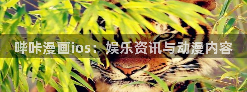 香蕉漫画在线浏览：哔咔漫画ios：娱乐资讯与动漫内容
