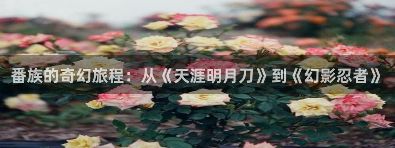 香蕉文化漫画书免费阅读下拉式最新在线看