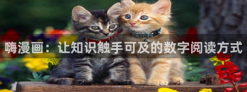 香蕉漫画头像