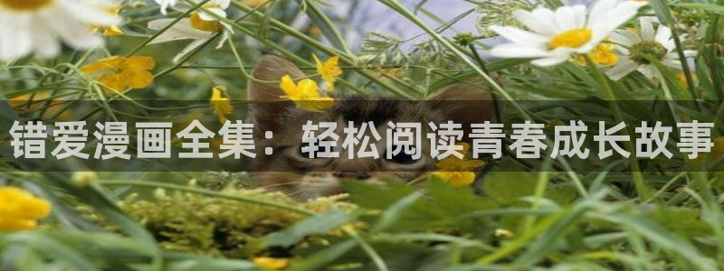 香蕉文化漫画书免费阅读下拉式最新