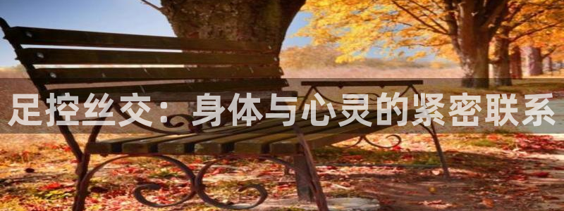 香蕉文化漫画下载：足控丝交：身体与心灵的紧密联系